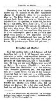 ← vorherige Seite