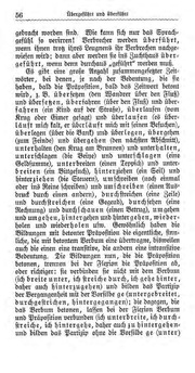 nächste Seite →